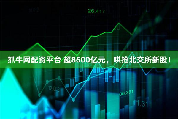 抓牛网配资平台 超8600亿元，哄抢北交所新股！